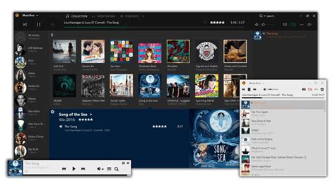 MusicBee Plus 3.5 Direct Download Link
