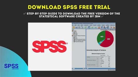 SPSS 2025 Download And Install
